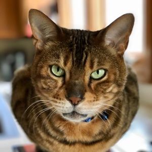 Meet your Posher, Lisa